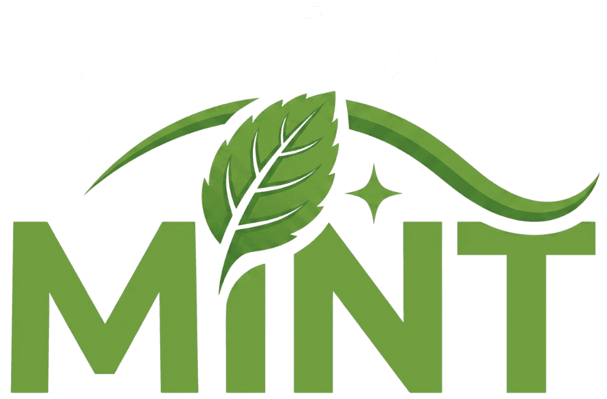 More Than A Mint